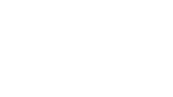 BD26 Logo Libidex