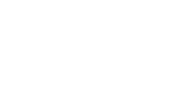 BD26 Logo OnGuard