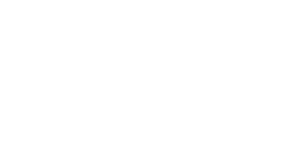BD26 Logo TheBronx