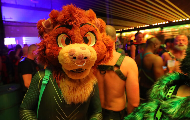 Homecoming party during Beyond Darklands 2026