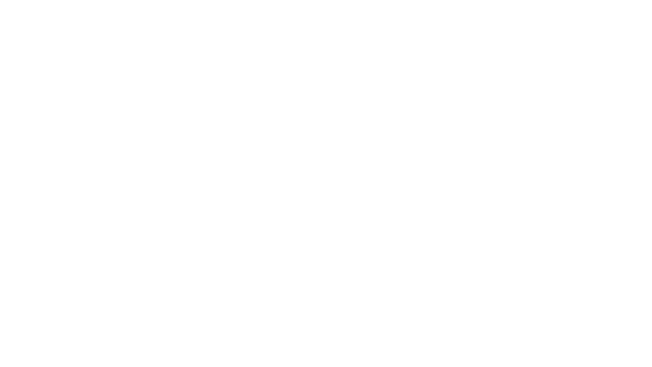 BD26 Vendor Logo BlackPaws