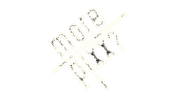 BD26 Vendor Logo MorePixx