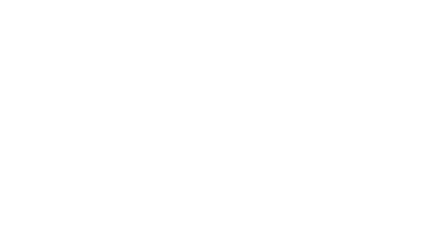 BD26 Vendor Logo StrappMetal