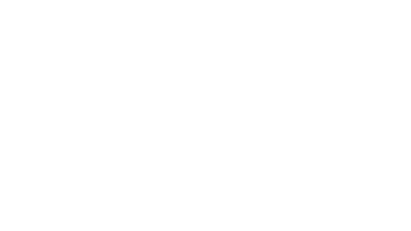 BD26 Vendor Logo TheBronx