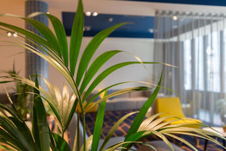 Hampton by Hilton Antwerp Central Station