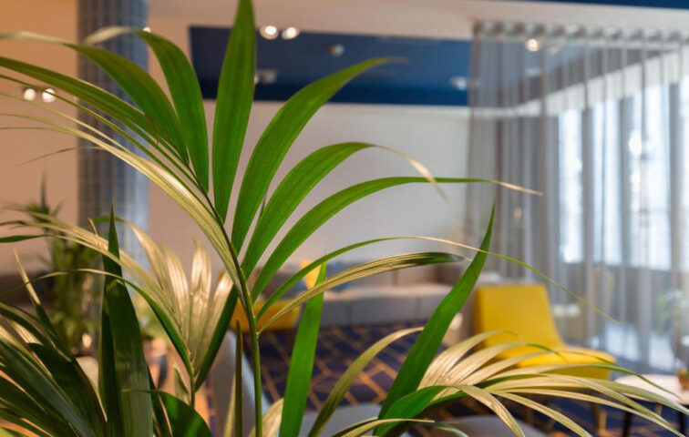 Hampton by Hilton Antwerp Central Station
