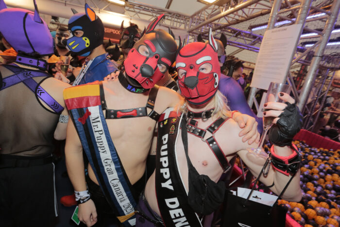 Two pups raising a toast in the Community Zone during Darklands 2025.